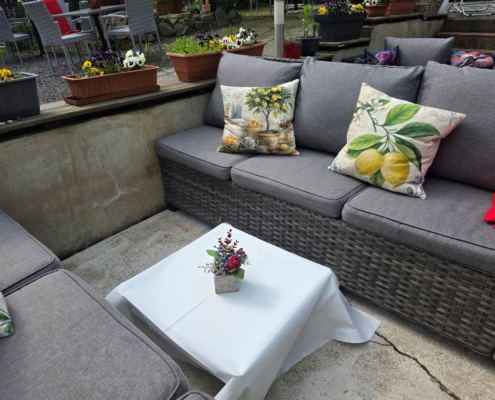Lounge Bereich Biergarten unterm Ginkgobaum