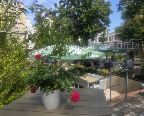 Blumenpracht
